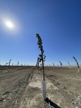 W Floral Ave, San Joaquin, CA for sale Building Photo- Image 1 of 7