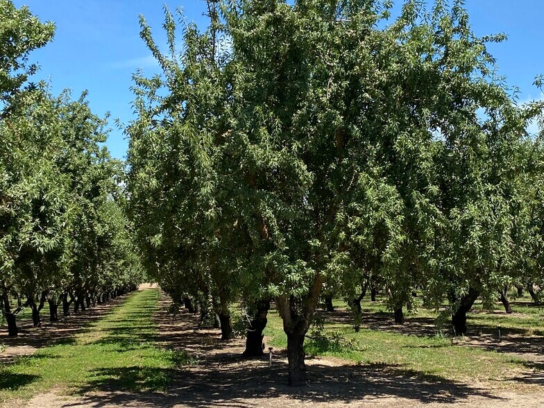 21178 S Van Allen Rd, Escalon 95320 UK