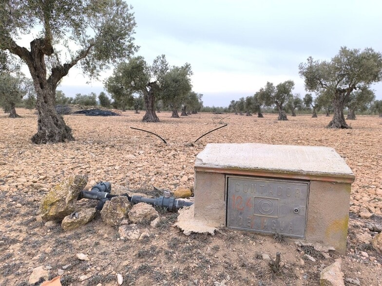 Land in Yecla, Murcia for sale - Primary Photo - Image 1 of 7