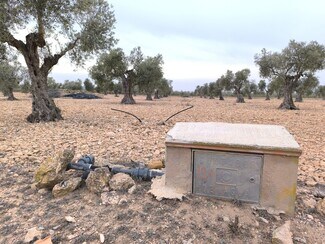 More details for Land for Sale