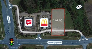 More details for 2251 Ocoee Apopka Rd, Ocoee, FL - Land for Rent