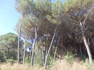 More details for Land for Sale