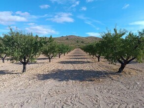 MURCIA - Aerial  map view