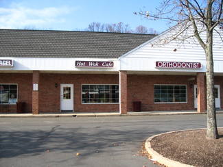 More details for 217 Clarksville Rd, West Windsor, NJ - Retail for Rent