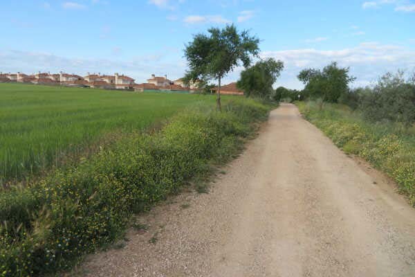 Land in Pozuelo del Rey, Madrid for sale Other- Image 1 of 3