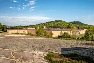 More details for 110 One Genesis Way, Spruce Pine, NC - Industrial for Sale