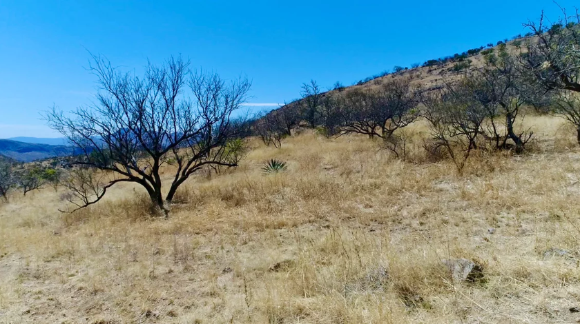 Alto Ranch, Rio Rico, AZ for sale - Building Photo - Image 3 of 6