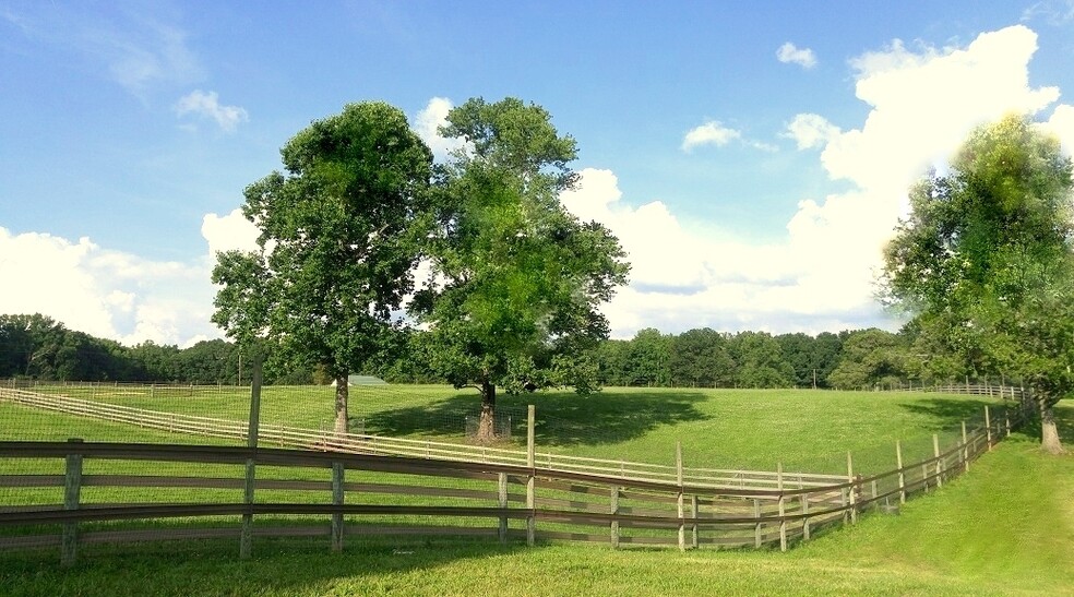 7600 Millbrook Rd, Summerfield, NC for sale - Building Photo - Image 3 of 3