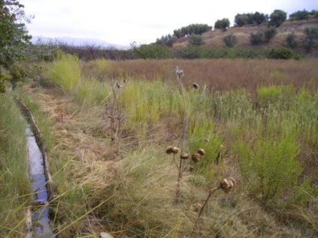Land in Calasparra, Murcia for sale - Site Plan - Image 3 of 12