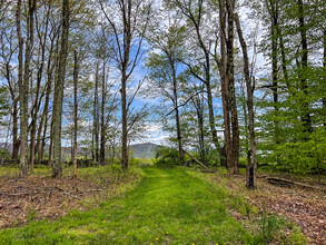 TBD State Highway 28, Andes, NY for sale Primary Photo- Image 1 of 3