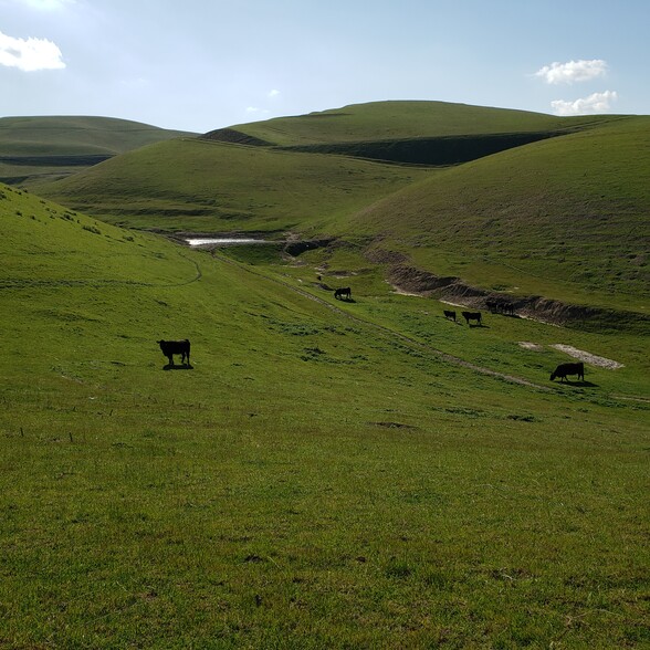 13749 Altamont Pass Rd, Livermore, CA for sale - Building Photo - Image 2 of 29