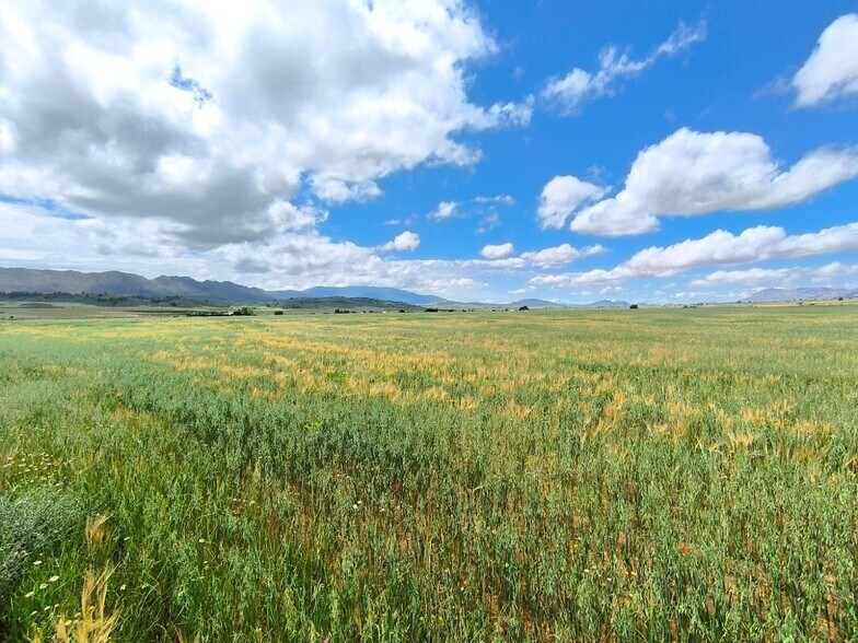 Land in Yecla, Murcia for sale - Aerial - Image 2 of 5