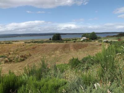 Lower Pitcalnie, Tain for sale - Primary Photo - Image 1 of 1