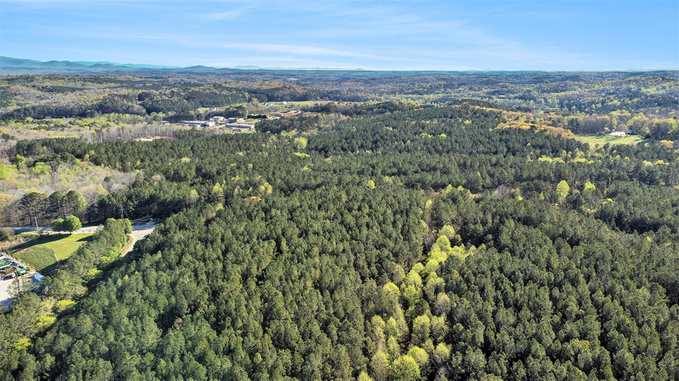 13450 East Cherokee Drive, Ball Ground, GA for sale - Aerial - Image 2 of 12