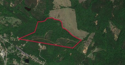 140 Acres Ridgeway, Ridgeway, SC for sale Primary Photo- Image 1 of 1