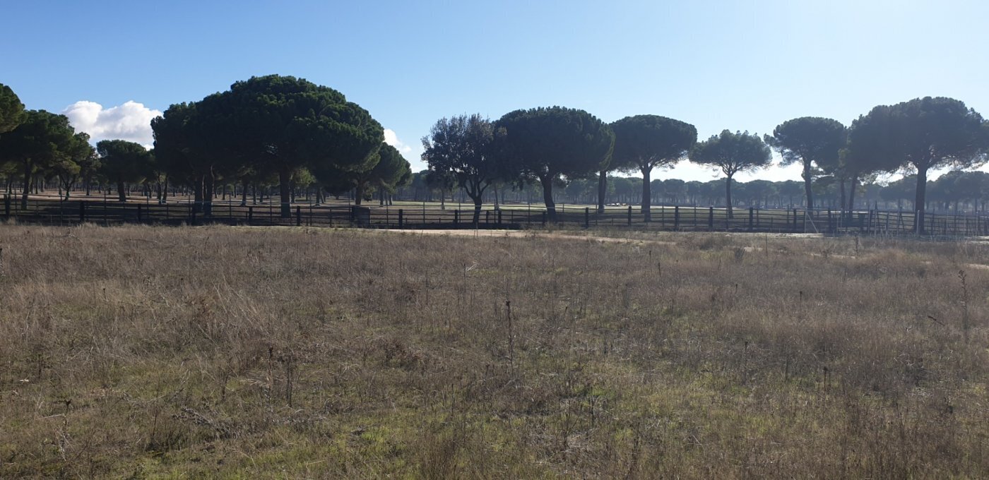 Land in Aldeamayor de San Martín, Valladolid for sale Primary Photo- Image 1 of 26