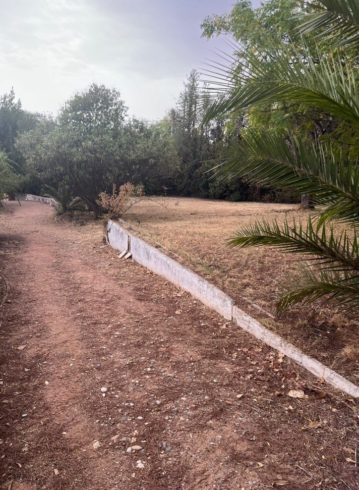 Land in Córdoba, Córdoba for sale Primary Photo- Image 1 of 8