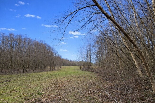 More details for Land Opposite, 250 Holtye Rd, East Grinstead - Land for Sale