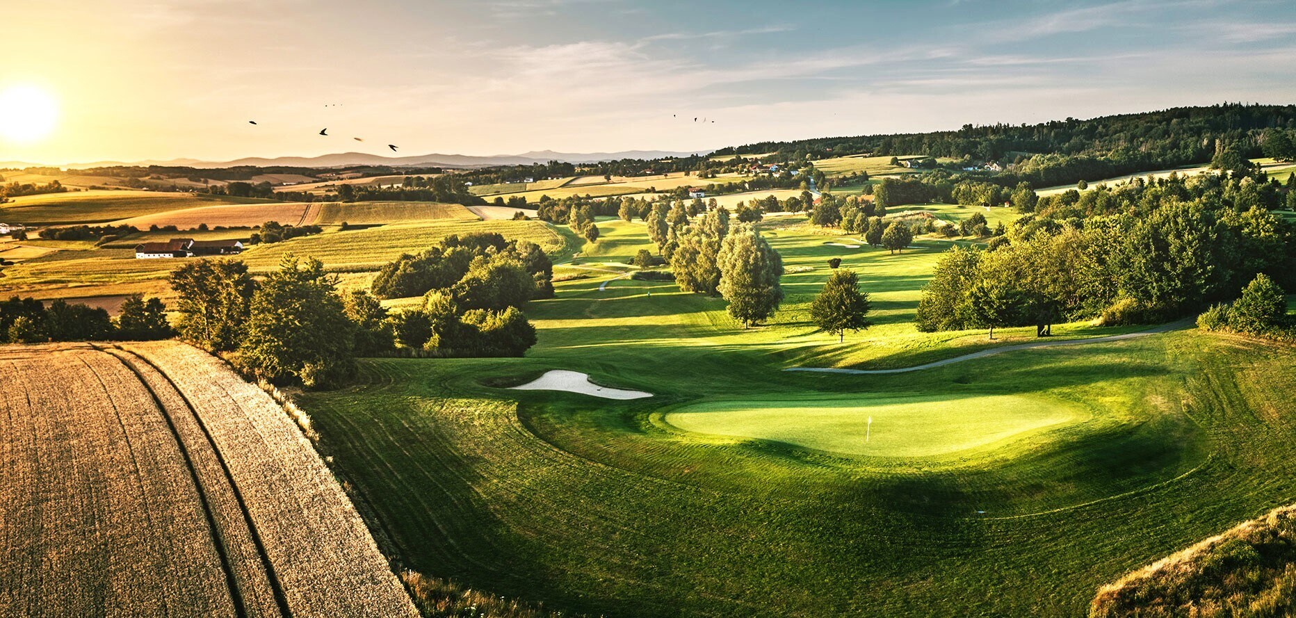  for sale Primary Photo- Image 1 of 1