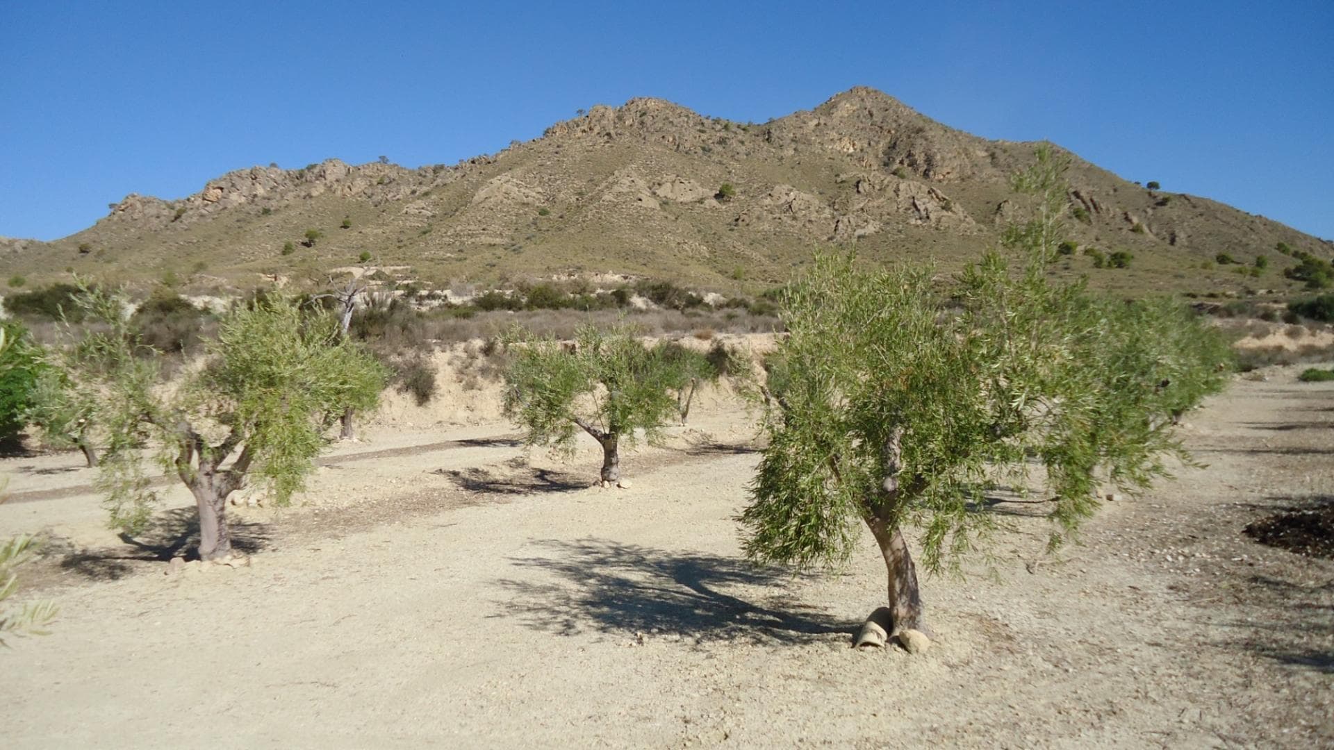 Land in Abanilla, Murcia for sale Primary Photo- Image 1 of 19