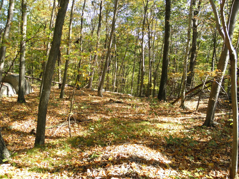 Baptist Church Rd, Carmel, NY for sale - Primary Photo - Image 1 of 3