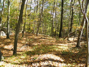 Baptist Church Rd, Carmel, NY for sale Primary Photo- Image 1 of 4