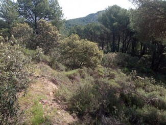 More details for Land for Sale