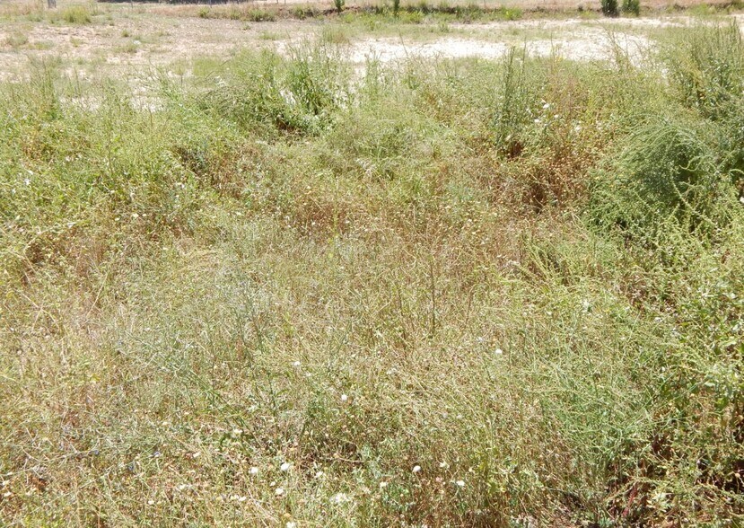 Land in València, Valencia for sale - Primary Photo - Image 3 of 3