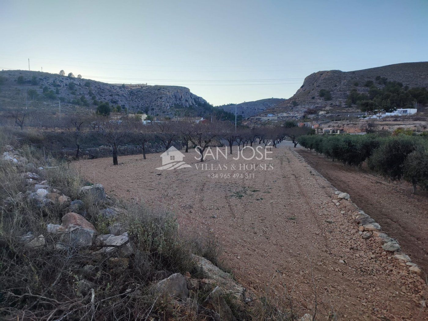 Land in La Romana, Alicante for sale Primary Photo- Image 1 of 8