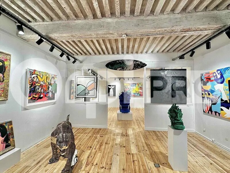 Retail in Lyon to rent Interior Photo- Image 1 of 7
