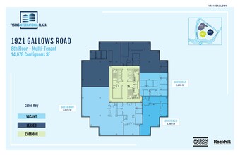 1919-1921 Gallows Rd, Vienna, VA for rent Floor Plan- Image 1 of 1