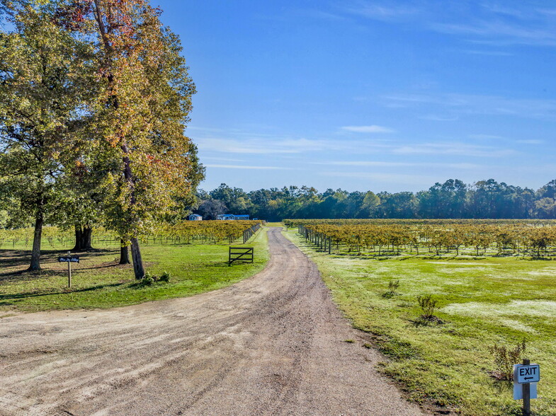 0 Winery, County Line, TX for sale - Building Photo - Image 3 of 64