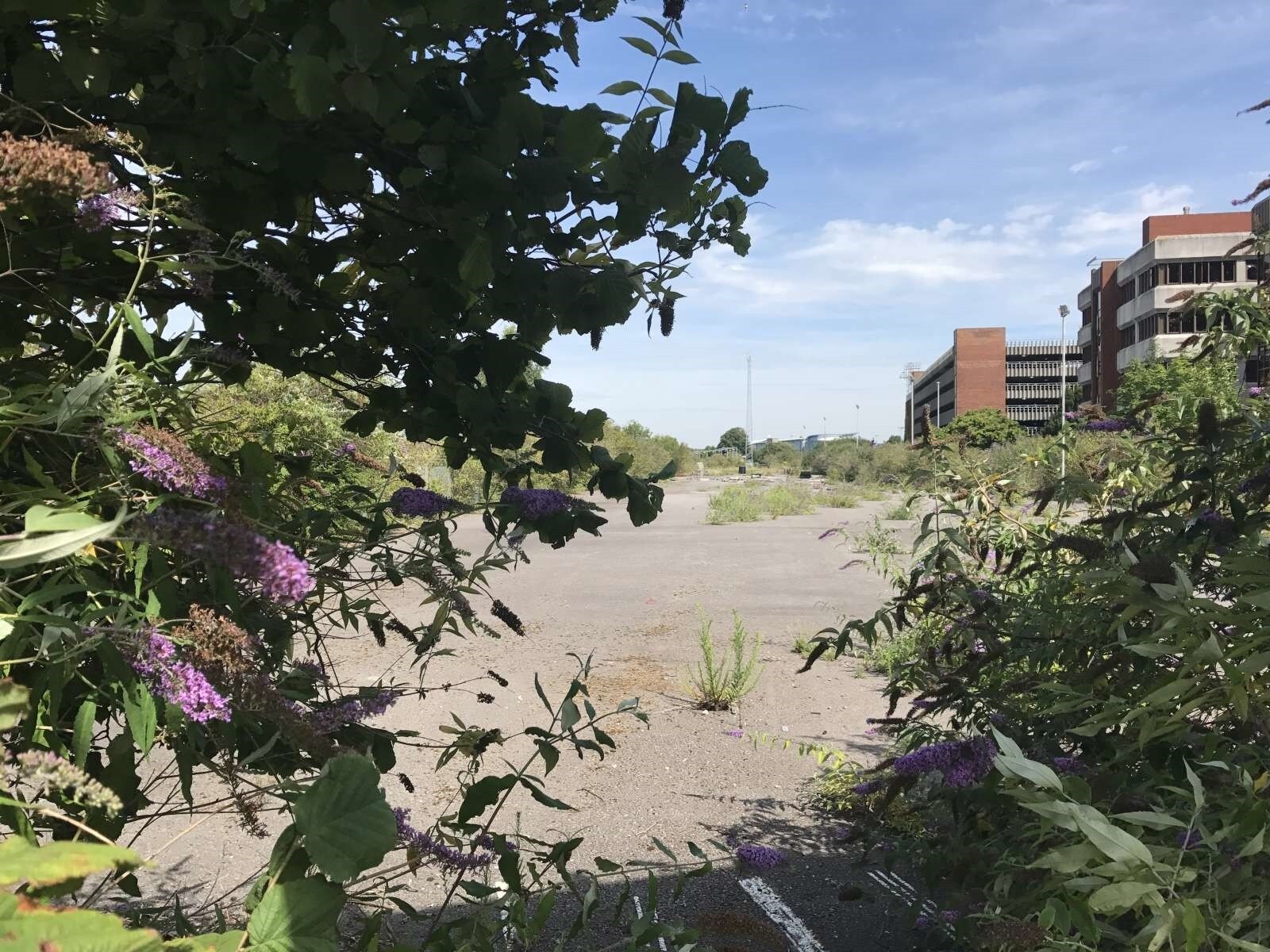 Serpentine Rd, Poole for sale Primary Photo- Image 1 of 1