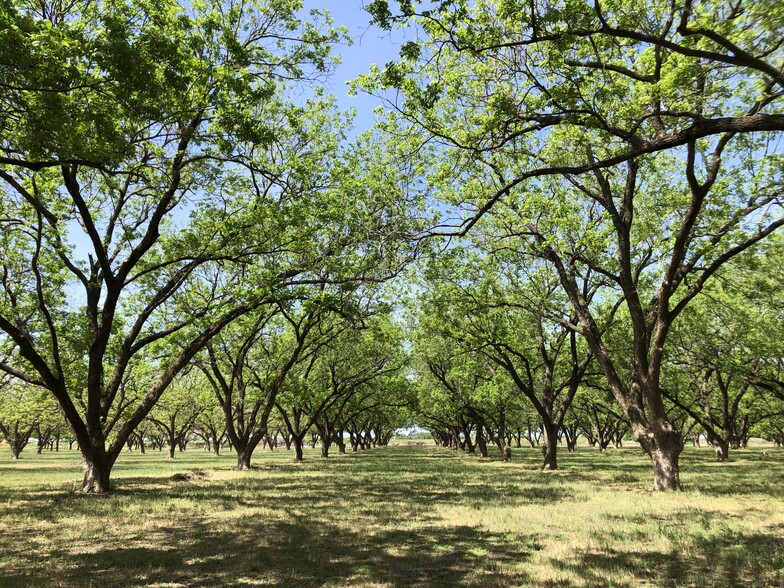 12633 Gholson Rd, Waco, TX for sale - Primary Photo - Image 1 of 4