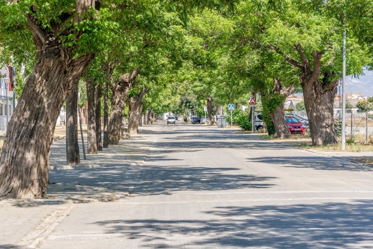 Land in Santa Fe, Granada for sale Building Photo- Image 1 of 27