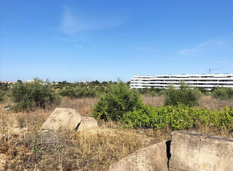 Carretera de Palomares, Mairena del Aljarafe, Sevilla for sale - Primary Photo - Image 3 of 38