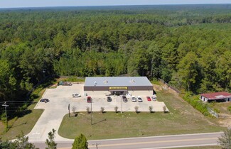 More details for 39603 MS-63, Richton, MS - Retail for Sale