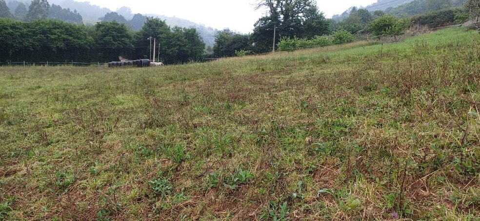 Pomarada Barrero. Illas, S/N, Illas, Asturias for sale - Building Photo - Image 1 of 13