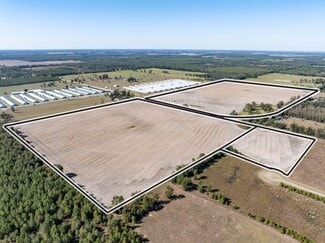 More details for TBD NE Daisy St st, Madison, FL - Land for Sale