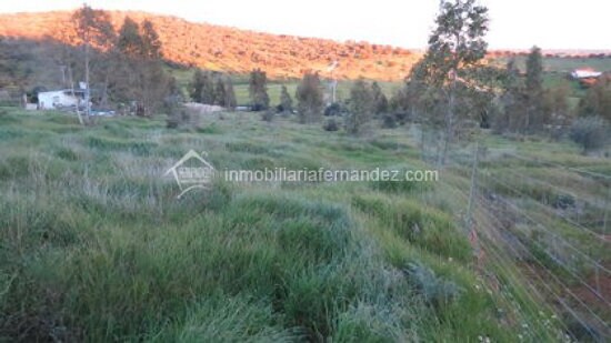 Land in Cáceres, Cáceres for sale Primary Photo- Image 1 of 11