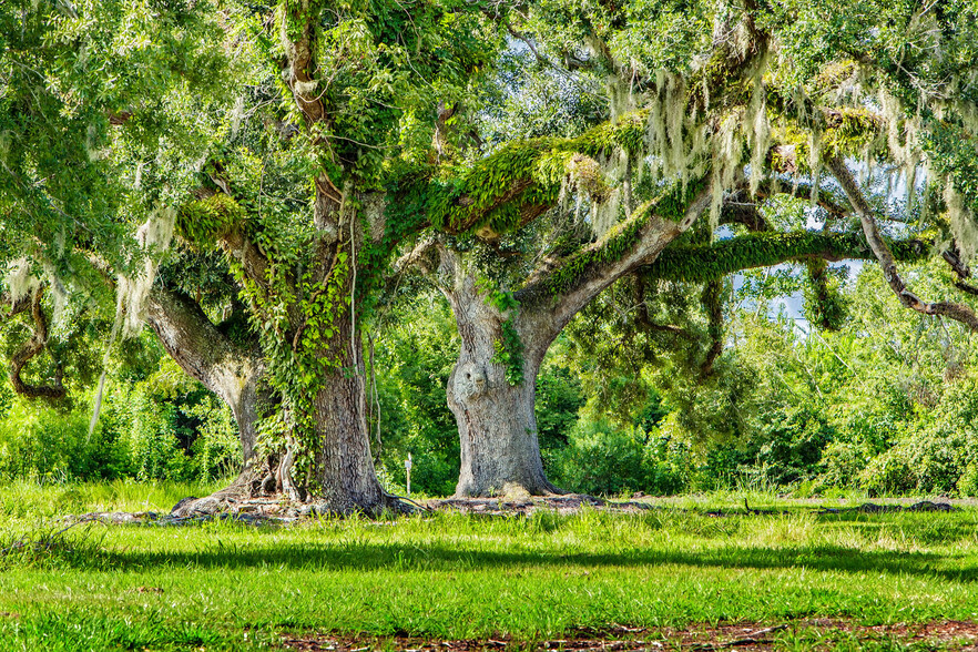 Progressive, Houma, LA for sale - Building Photo - Image 2 of 12