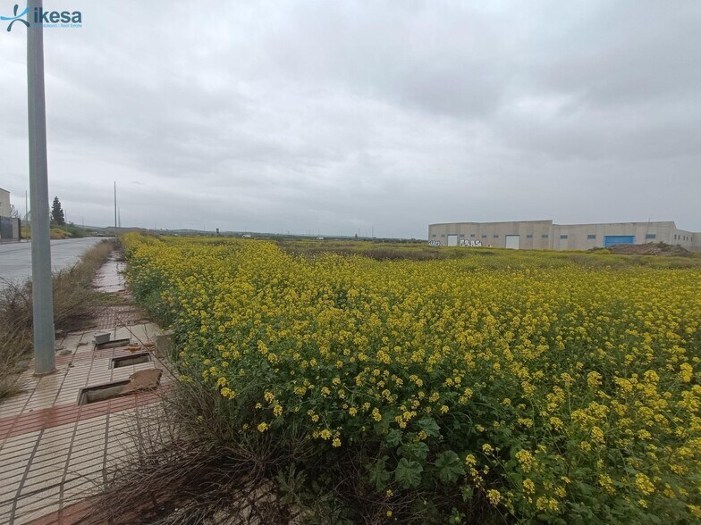 Industrial in Chauchina for sale - Building Photo - Image 2 of 19