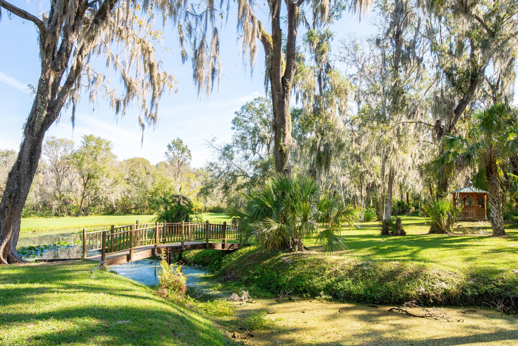 8418 Lupton Place pl, Plant City, FL for sale Building Photo- Image 1 of 15