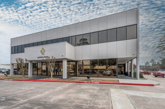 More details for 25000 Pitkin Rd, Spring, TX - Office for Rent