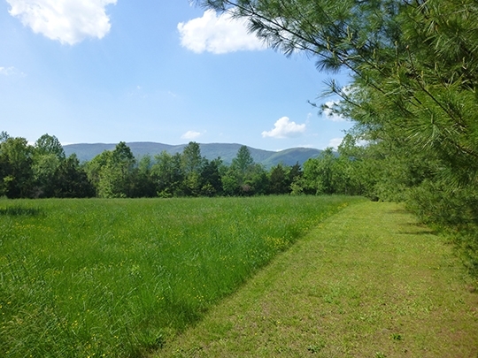 5258 Three Notch D Rd, Crozet, VA for sale - Primary Photo - Image 2 of 3