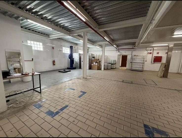 Industrial in Palma, Islas Baleares to rent Interior Photo- Image 1 of 31