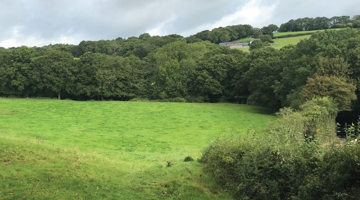 Land at Lower Bryn Ln, Newtown for sale Building Photo- Image 1 of 1