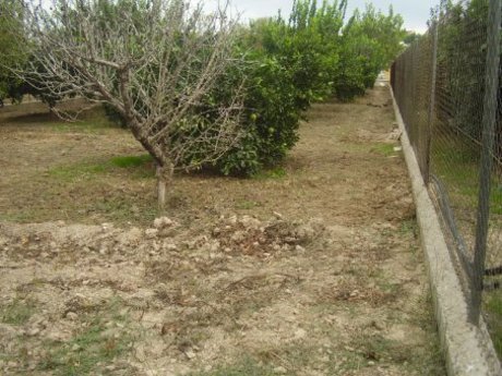 Land in Molina de Segura, Murcia for sale - Building Photo - Image 3 of 11