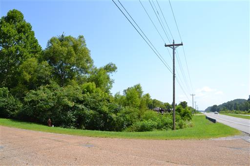 0 Highway 70 Hwy W, Waverly, TN for sale - Primary Photo - Image 1 of 1