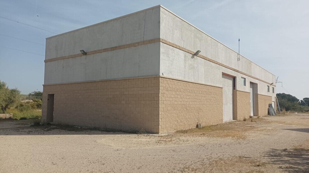 Industrial in Amposta, Tarragona for sale - Building Photo - Image 1 of 23